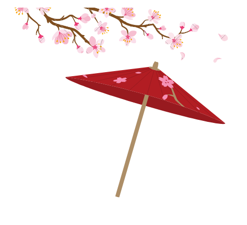 A lovely spray of Cherry Blossoms with a traditional Japanese parasol
